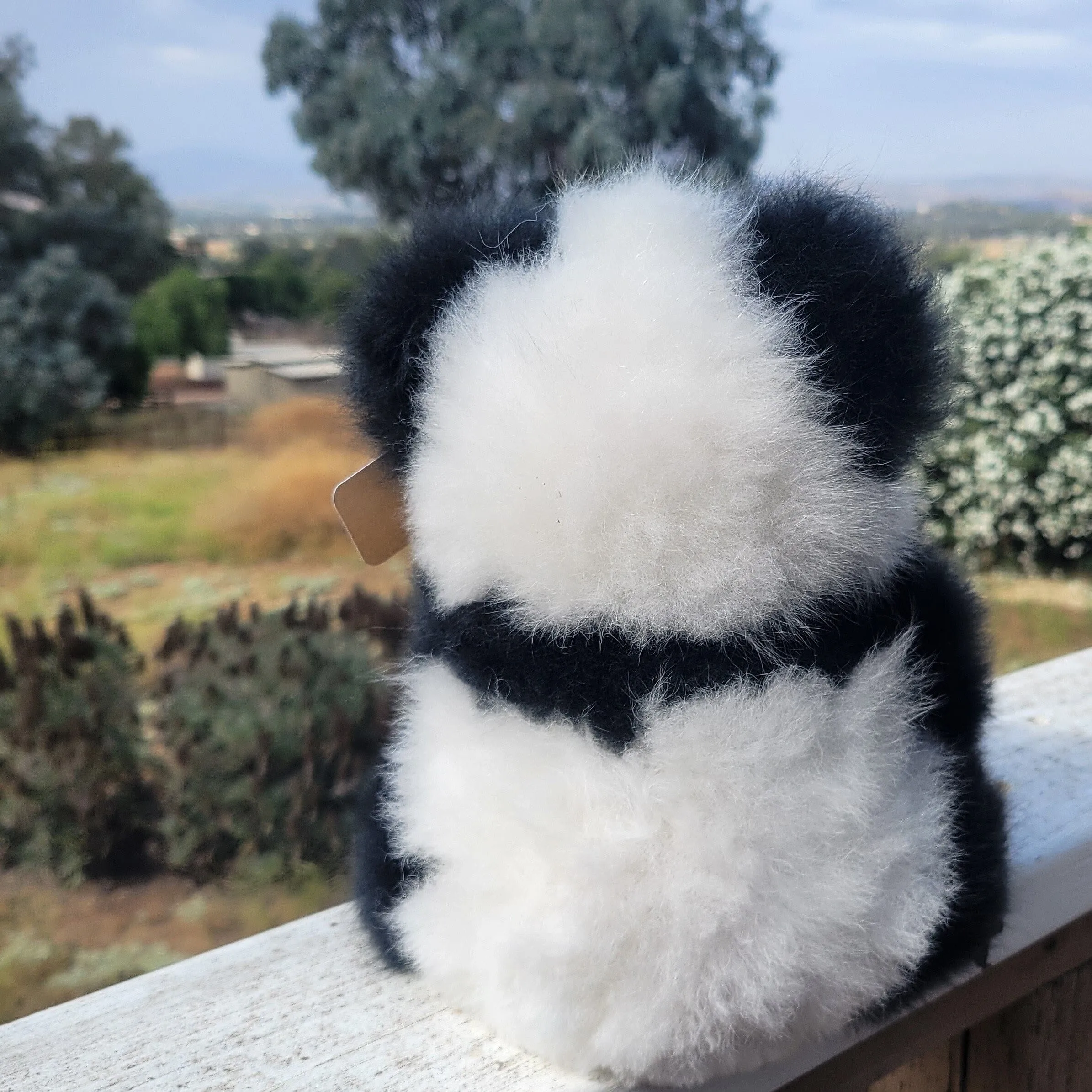 10" Seated Alpaca Panda Bear