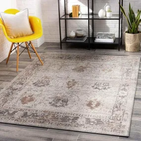 Hatsum Traditional Beige Area Rug Carpet for Living Room Bedroom or Kitchen