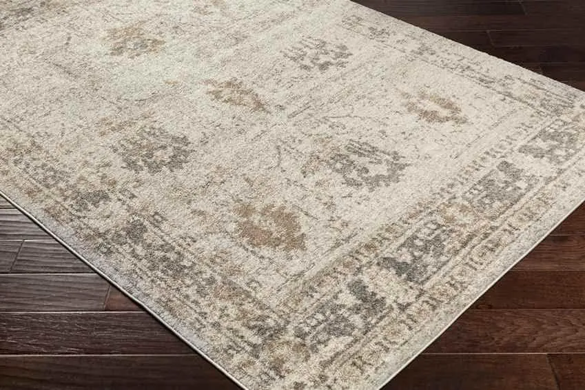 Hatsum Traditional Beige Area Rug Carpet for Living Room Bedroom or Kitchen