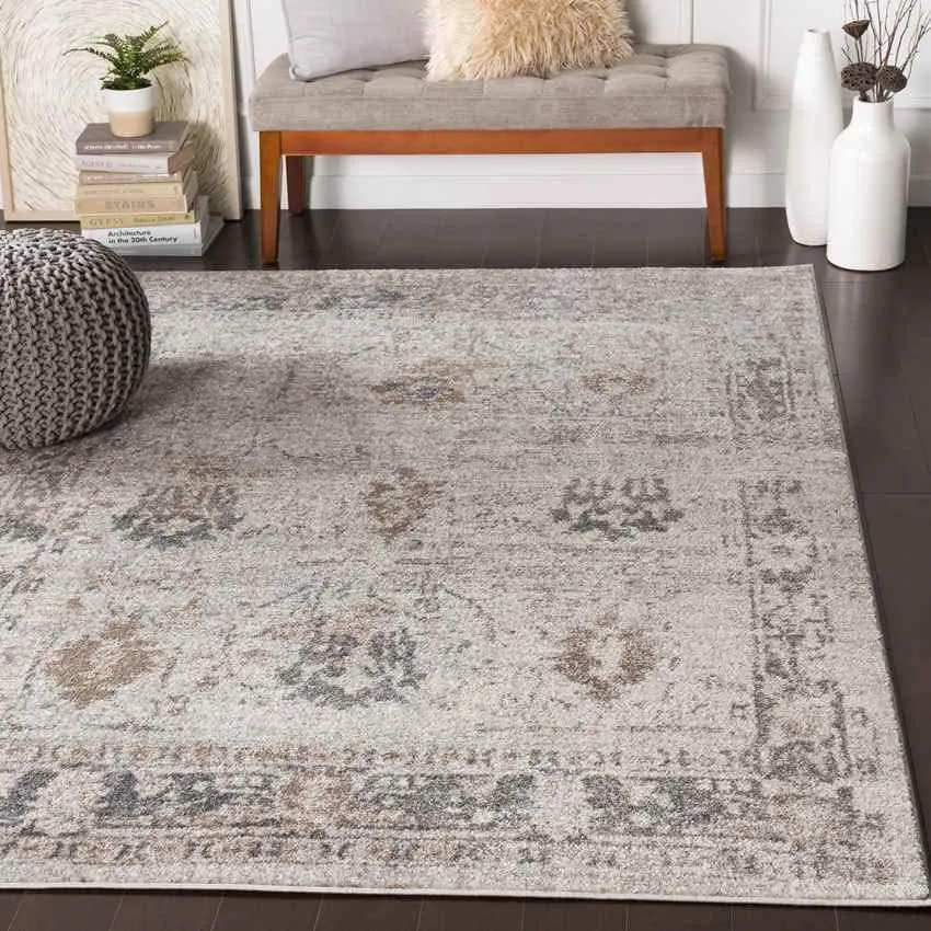 Hatsum Traditional Beige Area Rug Carpet for Living Room Bedroom or Kitchen