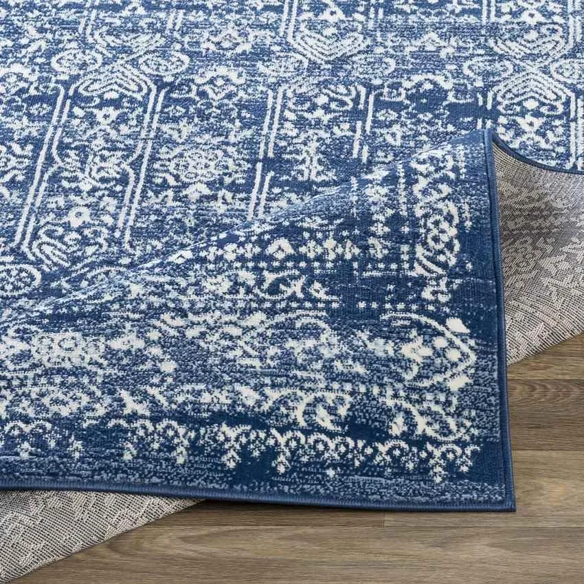 Hyeres Traditional Area Rug Carpet for Living Room Bedroom or Kitchen