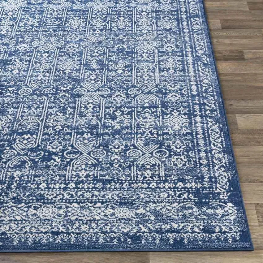 Hyeres Traditional Area Rug Carpet for Living Room Bedroom or Kitchen