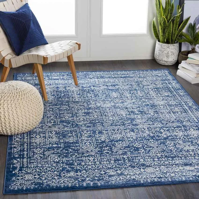 Hyeres Traditional Area Rug Carpet for Living Room Bedroom or Kitchen