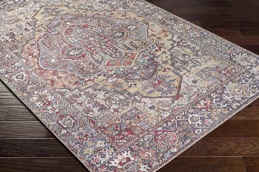 Manche Traditional Area Rug Carpet for Living Room Bedroom or Kitchen