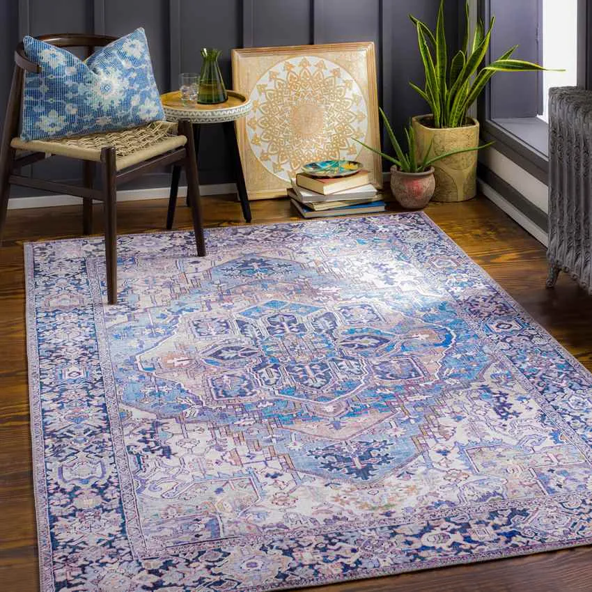 Manche Traditional Area Rug Carpet for Living Room Bedroom or Kitchen