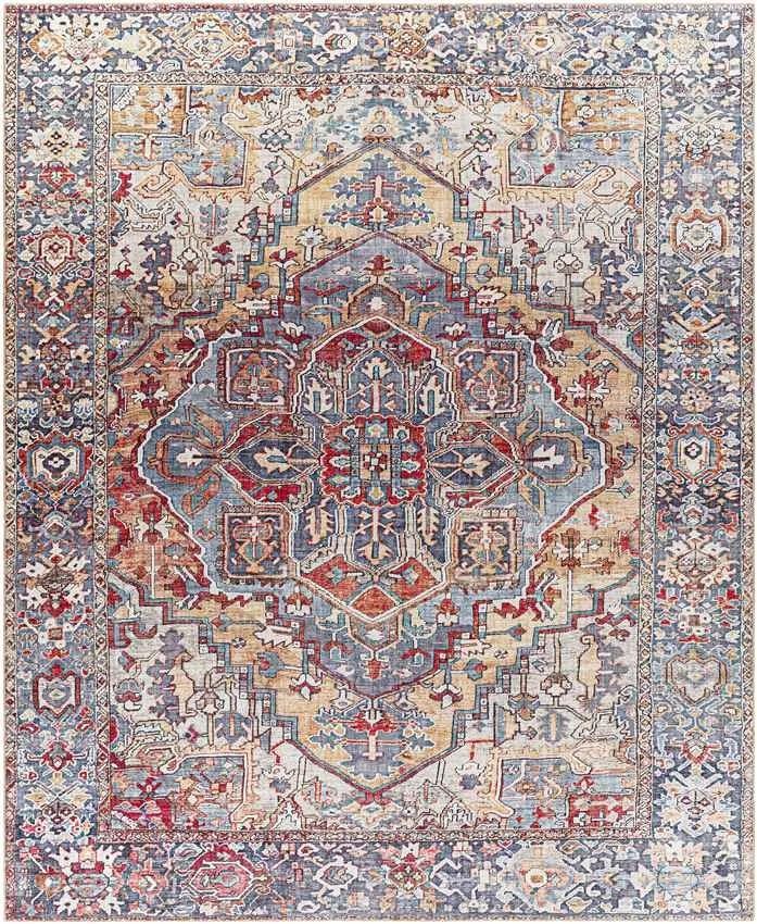 Manche Traditional Area Rug Carpet for Living Room Bedroom or Kitchen