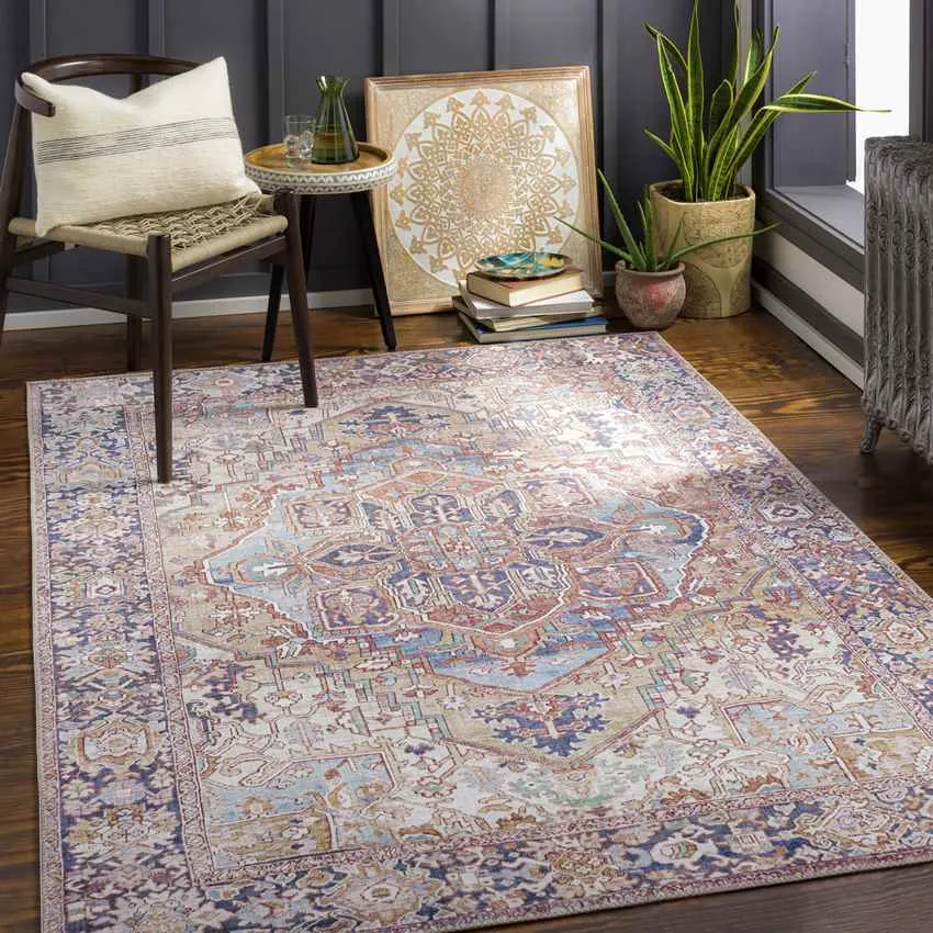 Manche Traditional Area Rug Carpet for Living Room Bedroom or Kitchen