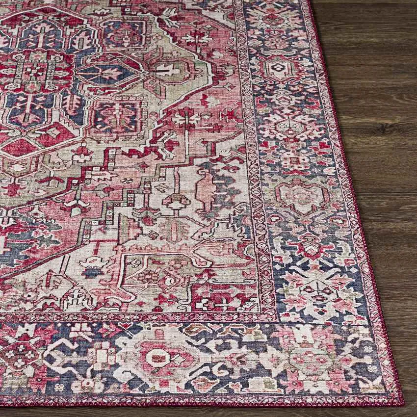 Manche Traditional Area Rug Carpet for Living Room Bedroom or Kitchen