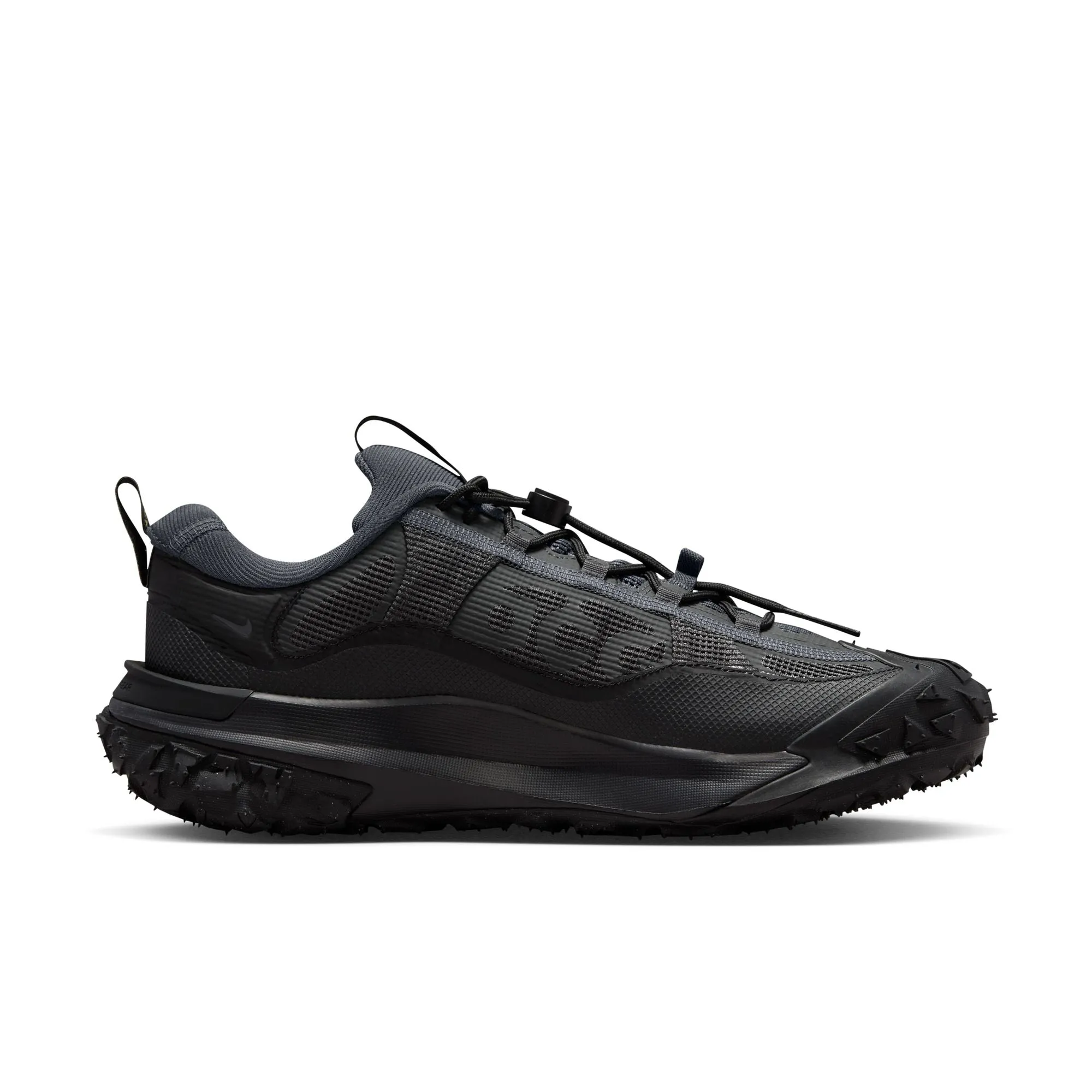 Nike ACG Mountain Fly 2 Low GTX (DK Smoke Grey/Black/Black)